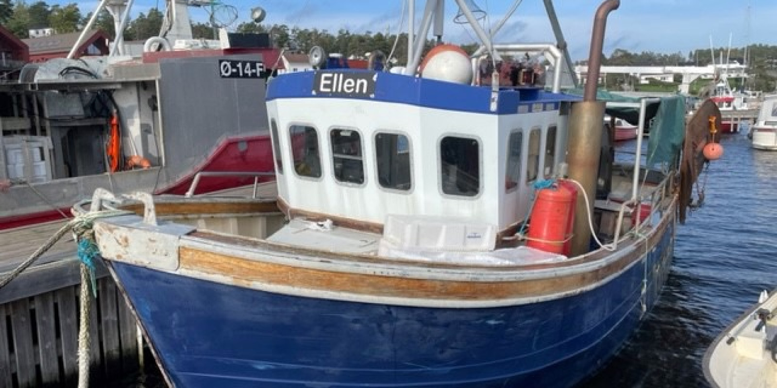 ellen102.jpeg