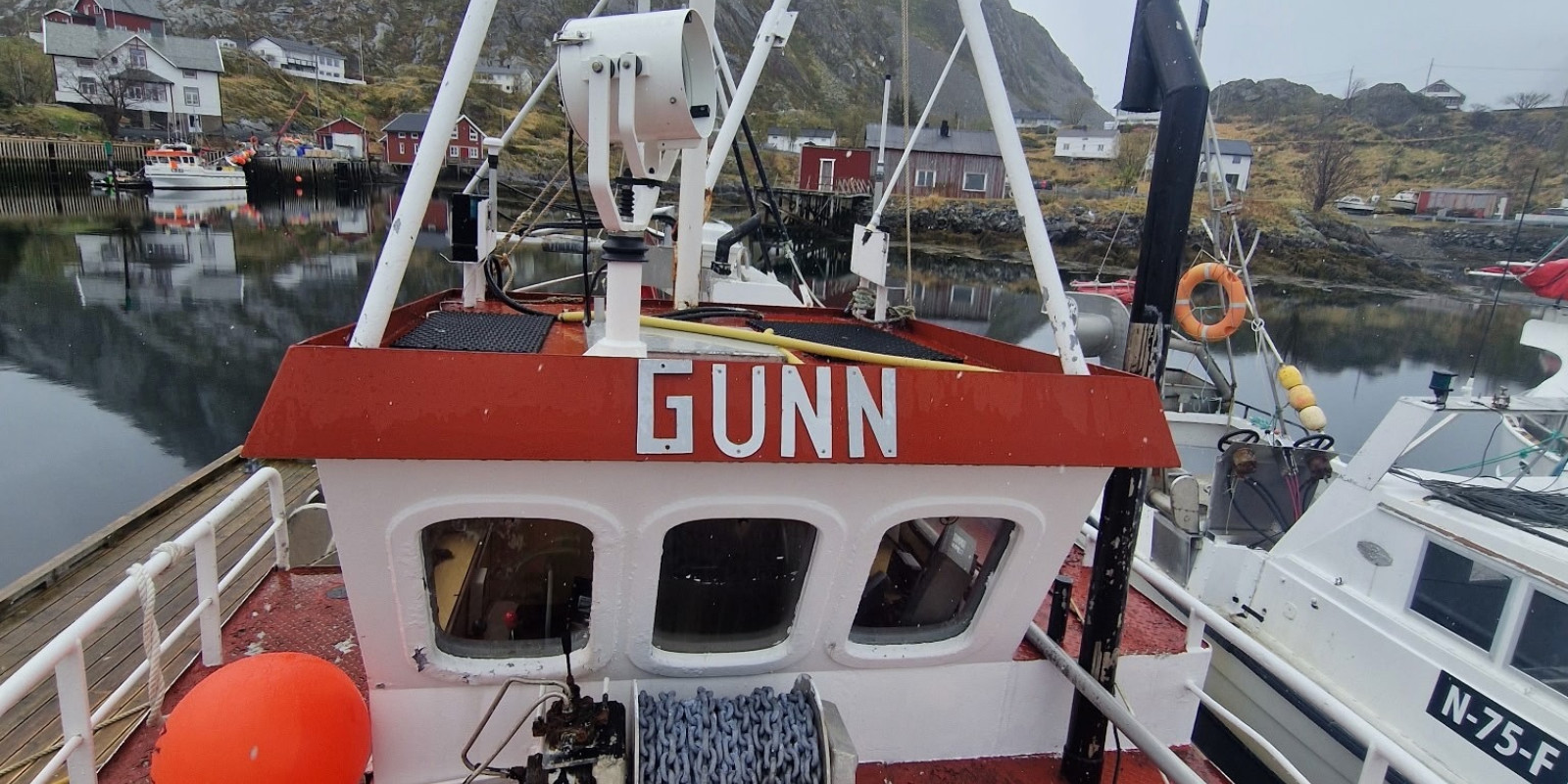 gunn101.jpeg
