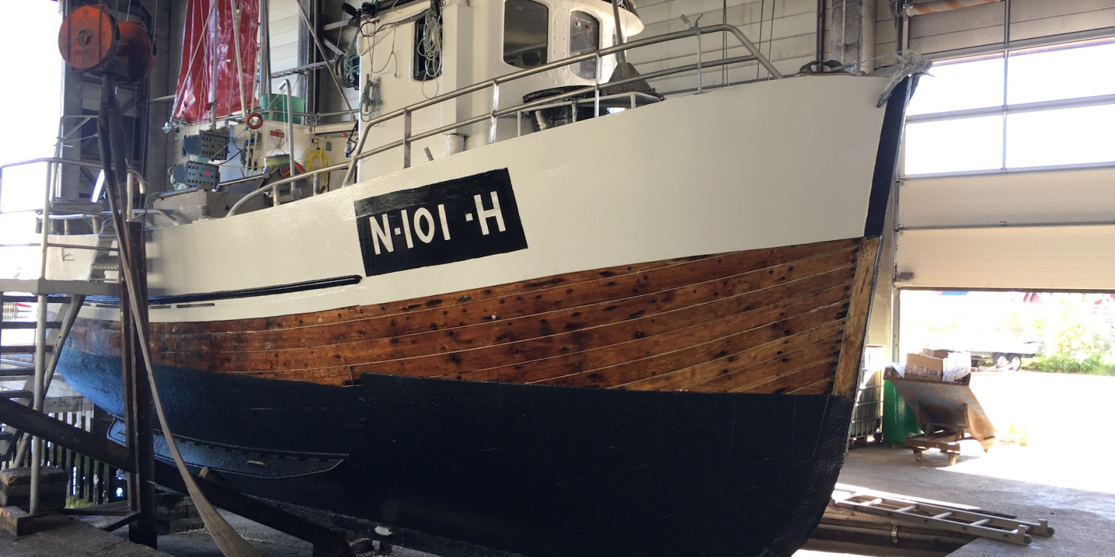moysalfisk156.jpeg