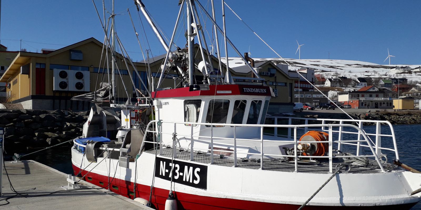 image115.jpg